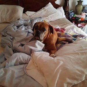 Meet your Posher, Kim